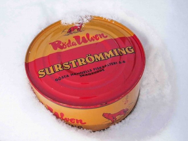 surströmming 