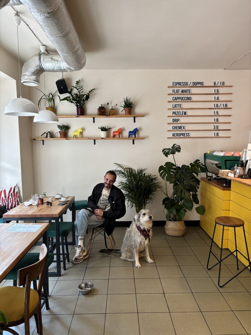 Fika kawiarnia katowice pies kawiarnia z psem katowice