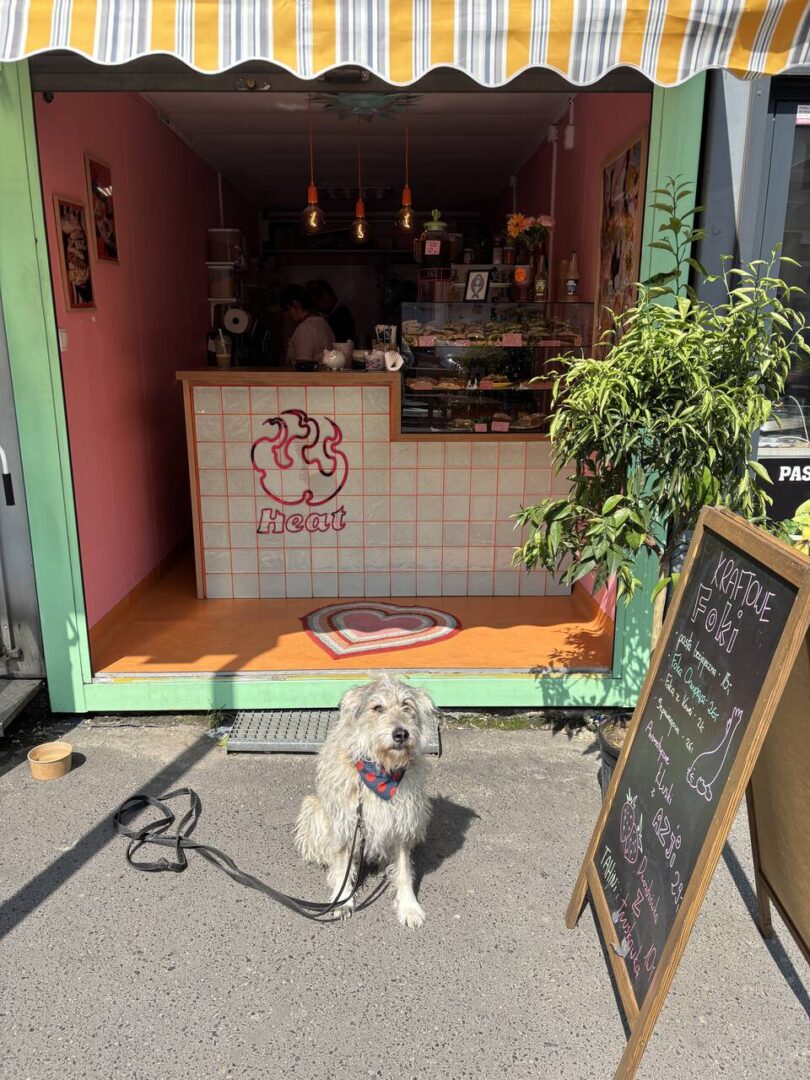 heat vegan katowice gdzie zjeść katowice
