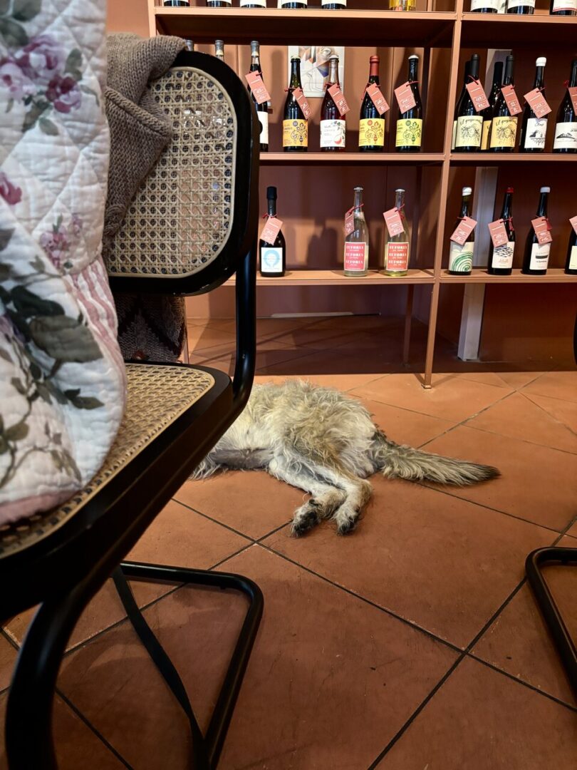 krzywa katowice katowice winebar wino talerzyki